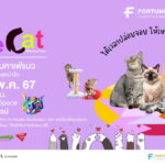 Fortune Town เปิดพื้นที่จัดกิจกรรมแห่งใหม่ Fortune Event Space  ชวนทาสแมวได้ใจฟู กับงาน “See Cat @ Fortune Town” 