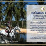 สหภาพยุโรป ไฟเขียว!!! ไทยส่งออกม้าที่จดทะเบียนไปยังสหภาพยุโรป (EU) ได้อีกครั้ง
