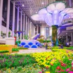 WONDARA -The Power of Flower - Immersive Exhibition แลนด์มาร์กท่องเที่ยวแห่งใหม่ จ.ระยอง เปิดให้เข้าชมแล้ววันนี้