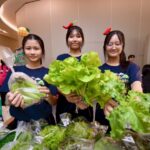 สสส. สานพลัง กทม. ผนึก UDDC-CEUS ถอดบทเรียน ดัน “พื้นที่สีเขียวกินได้”เชื่อมย่าน-โรงเรียน-ชุมชน สู่ความมั่นคงทางอาหาร