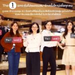 The 1 ยกระดับโปรแกรมสมาชิกครั้งใหญ่เพื่อทุกคน ดูแลสมาชิกครอบคลุม 4 ระดับอย่างดีที่สุดเพื่อมอบสิทธิ์ตรงใจทุกกลุ่ม ทุกไลฟ์สไตล์ พิเศษ! ช้อปสะสมเลื่อนระดับวันนี้ รับสิทธิ์ยาวถึงปีถัดไป