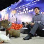 เริ่มแล้วงานมหกรรมสัตว์เลี้ยงสุดยิ่งใหญ่ประจำปี "PET EXPO THAILAND 2026" ขนทัพสินค้าลดกระหน่ำ ตอบโจทย์ Pet Humanization ครบวงจร"